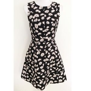 Ann Taylor Daisy Dress Fit & Flare Black White